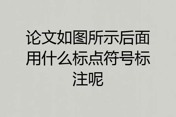 论文如图所示后面用什么标点符号标注呢