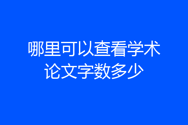 哪里可以查看学术论文字数多少