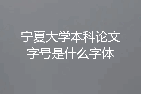 宁夏大学本科论文字号是什么字体