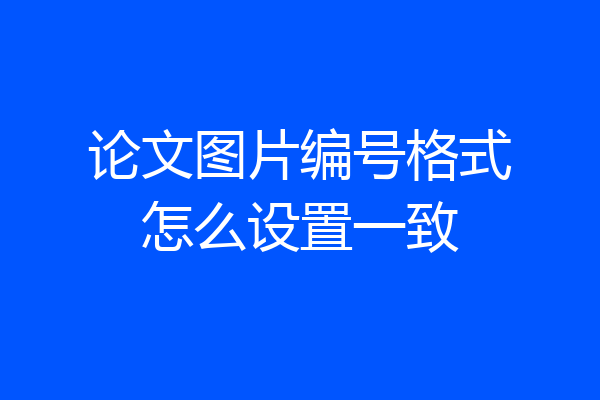 论文图片编号格式怎么设置一致