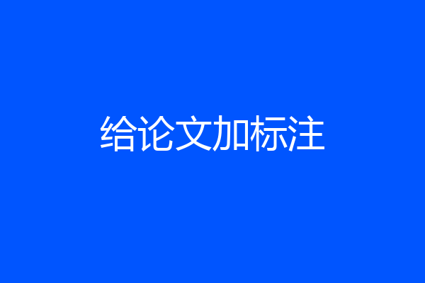 给论文加标注