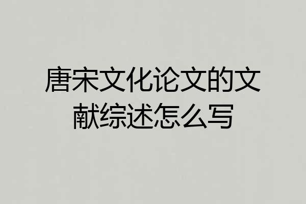 唐宋文化论文的文献综述怎么写