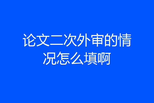 论文二次外审的情况怎么填啊