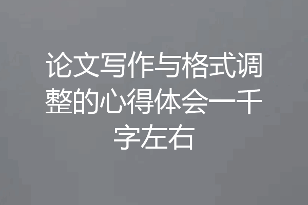 论文写作与格式调整的心得体会一千字左右