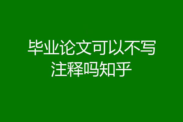 毕业论文可以不写注释吗知乎