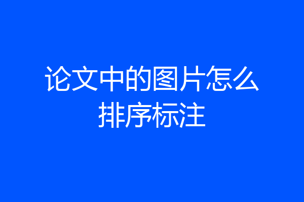 论文中的图片怎么排序标注