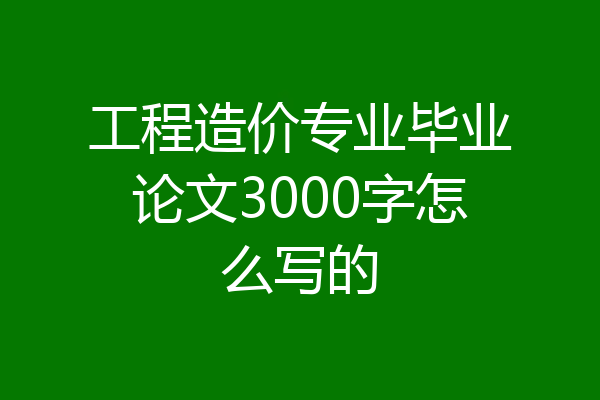 工程造价专业毕业论文3000字怎么写的