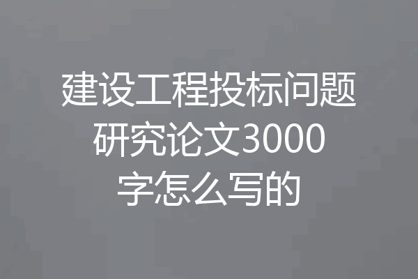 建设工程投标问题研究论文3000字怎么写的