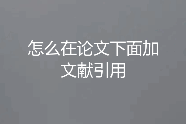 怎么在论文下面加文献引用