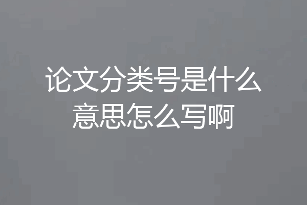 论文分类号是什么意思怎么写啊