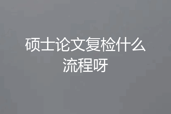 硕士论文复检什么流程呀