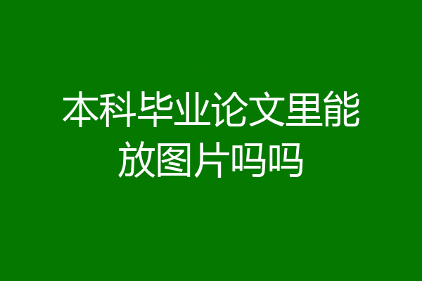 本科毕业论文里能放图片吗吗