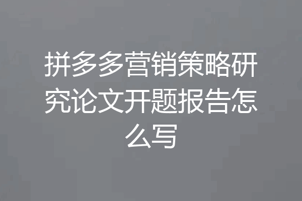 拼多多营销策略研究论文开题报告怎么写