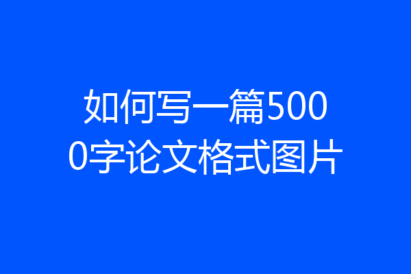 如何写一篇5000字论文格式图片