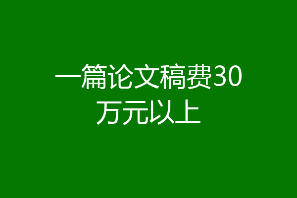 一篇论文稿费30万元以上