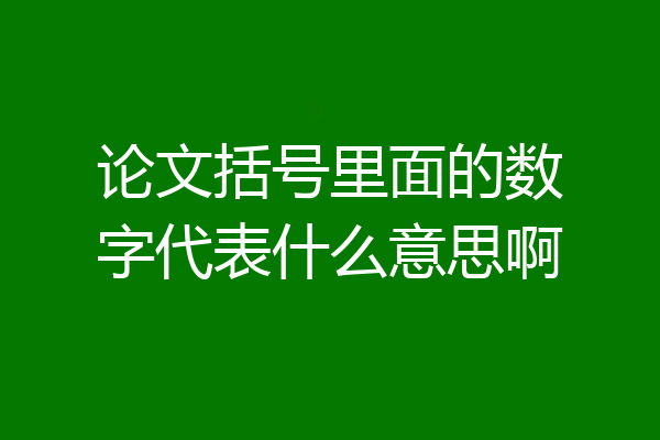 论文括号里面的数字代表什么意思啊