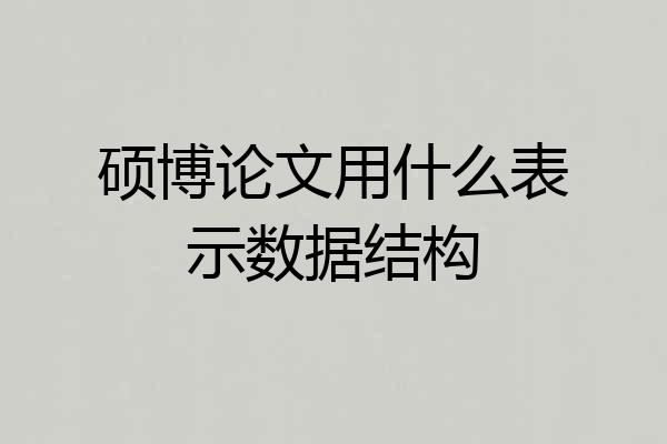 硕博论文用什么表示数据结构