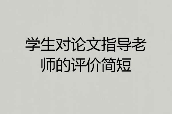 学生对论文指导老师的评价简短