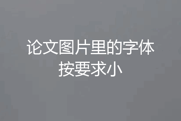 论文图片里的字体按要求小