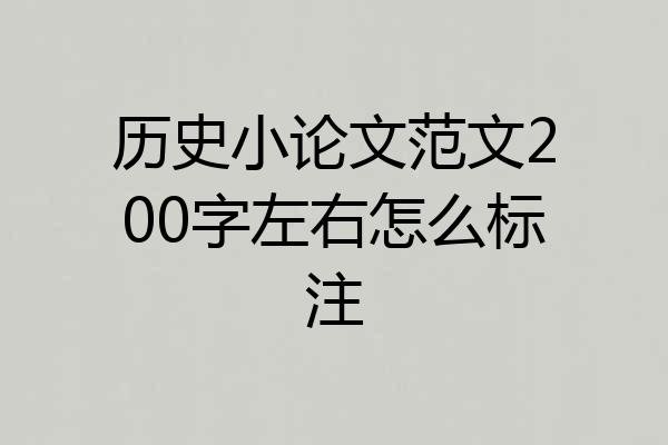历史小论文范文200字左右怎么标注