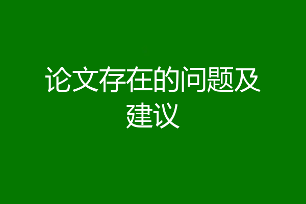 论文存在的问题及建议