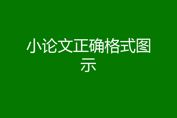 小论文正确格式图示