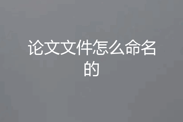论文文件怎么命名的