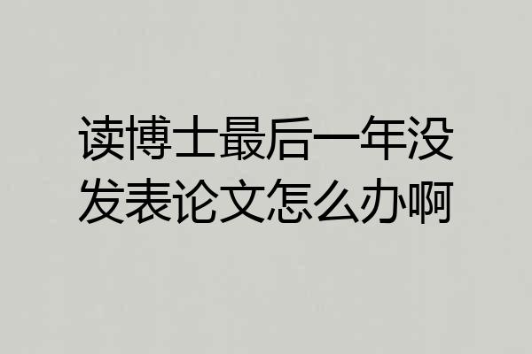 读博士最后一年没发表论文怎么办啊