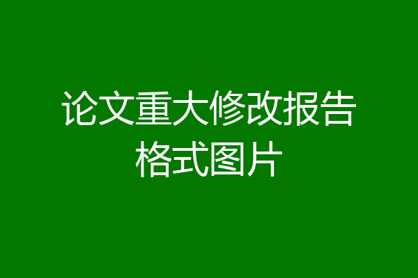 论文重大修改报告格式图片