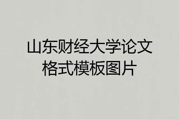 山东财经大学论文格式模板图片
