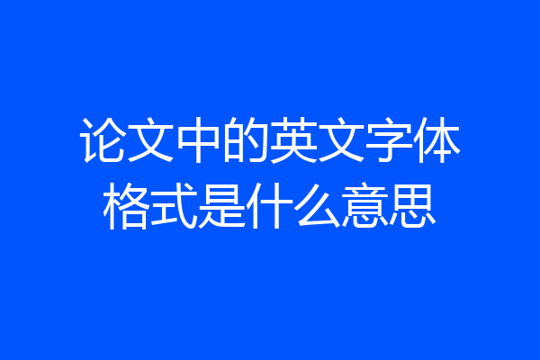 论文中的英文字体格式是什么意思