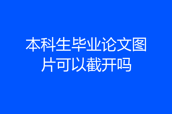 本科生毕业论文图片可以截开吗