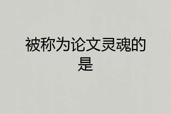 被称为论文灵魂的是