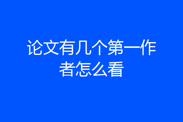 论文有几个第一作者怎么看