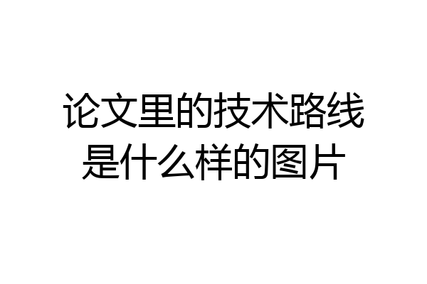 论文里的技术路线是什么样的图片