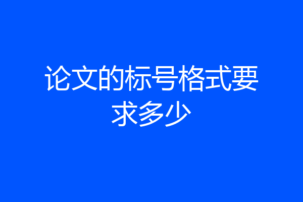 论文的标号格式要求多少