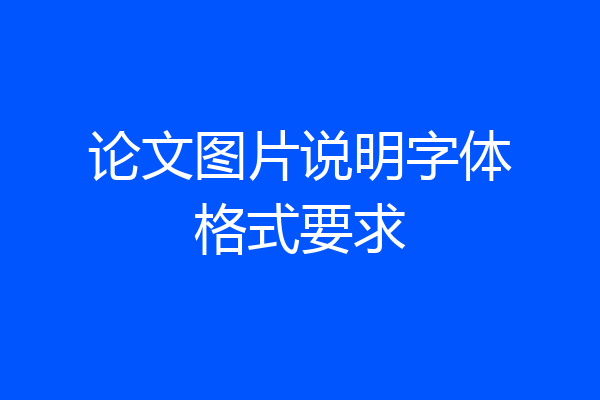 论文图片说明字体格式要求