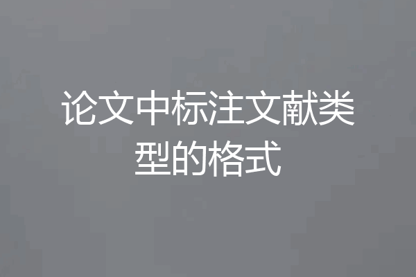 论文中标注文献类型的格式
