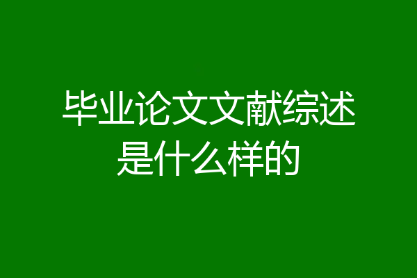 毕业论文文献综述是什么样的
