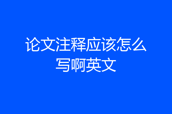 论文注释应该怎么写啊英文
