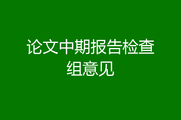 论文中期报告检查组意见