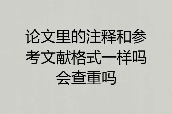 论文里的注释和参考文献格式一样吗会查重吗
