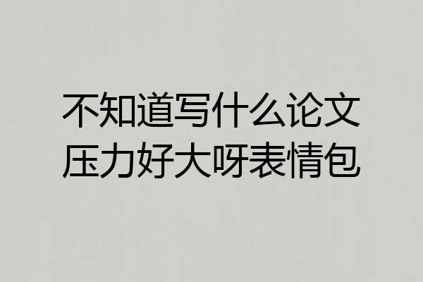 不知道写什么论文压力好大呀表情包