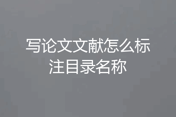 写论文文献怎么标注目录名称