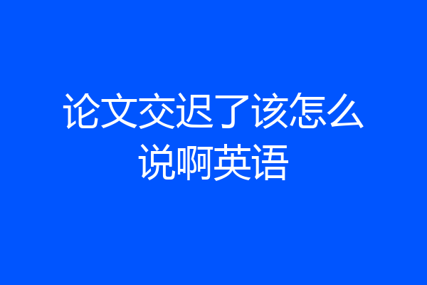 论文交迟了该怎么说啊英语