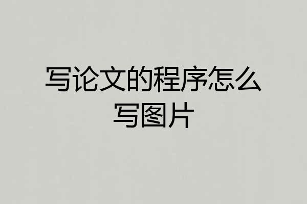 写论文的程序怎么写图片