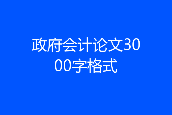 政府会计论文3000字格式