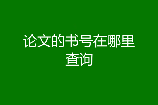 论文的书号在哪里查询
