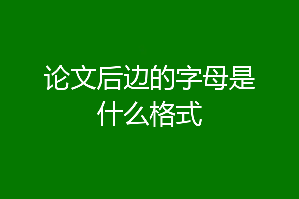 论文后边的字母是什么格式