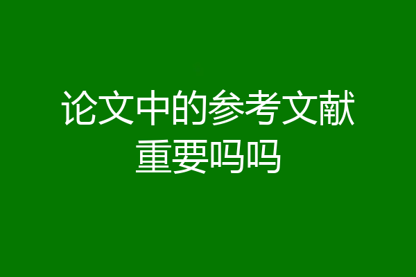 论文中的参考文献重要吗吗